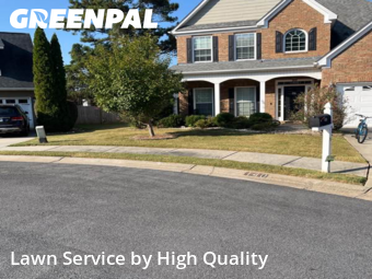 Yard Grooming in Peachtree City, 30269, Lawn Mowing by High Quality , work completed in Dec , 2025