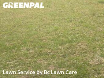 Lawn Mow nearby Raleigh, NC, 