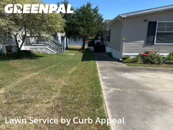 Work completed by local-lawn-care-services-in-Concord-CA