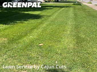 Lawn Maintenance nearby Murfreesboro, TN, 