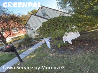 Yard Upkeep in Parkville, 21234, Lawn Work by Moreira G, work completed in Oct , 2025