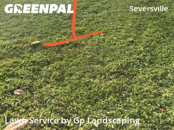 Yard Cutting nearby Charlotte, NC, 