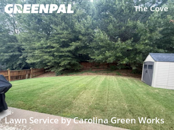 Lawn Mow nearby Raleigh, NC, 