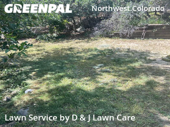 Lawn Care Service nearby Colorado Springs, CO, 