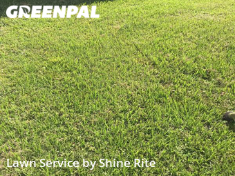 Grass Cutting nearby Palm Bay, FL, 