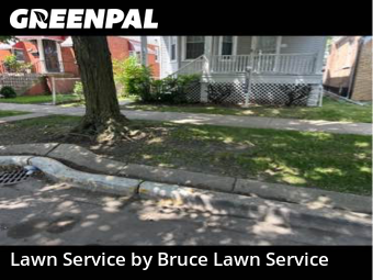 Lawn Care Servicein Cicero,60804,Lawn Cut by Bruce Lawn Service, work completed in Nov , 2025