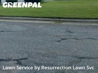 Yard Cutting nearby Gibsonville, NC, 