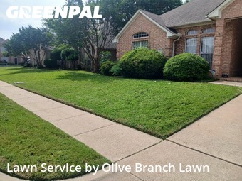 Grass Cutin Haltom City,76137,Lawn Mow by Olive Branch Lawn, work completed in Jun , 2026