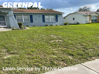 Lawn Cut nearby Spring Hill, FL, 