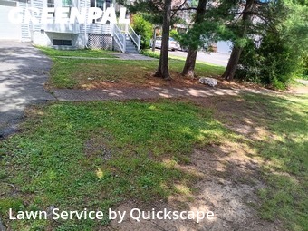 Lawn Cut nearby Mc Lean, VA, 