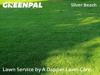 Yard Mowing nearby Bellingham, WA, 