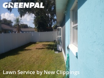 Lawn Cut nearby Clearwater, FL, 