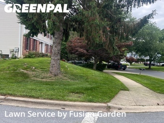 Lawn mowed in Germantown, 20874