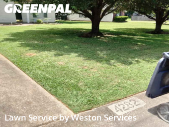 Grass Cut nearby Bessemer, AL, 