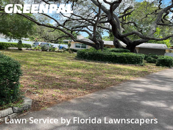 Grass Cutting nearby Largo, FL, 