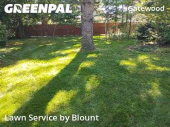 Lawn Cut nearby New Berlin, WI, 