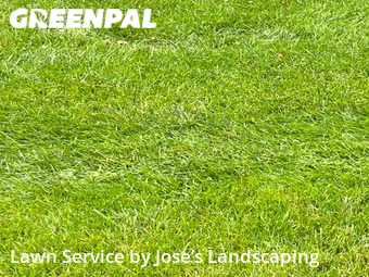 Grass Cut nearby Woodbridge, VA, 