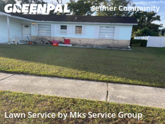 Yard Cutting nearby Brandon, FL, 