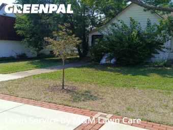 Lawn Service nearby Hammond, IL, 