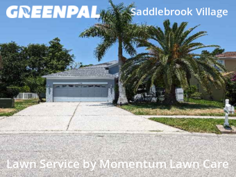 Lawn Mow nearby Wesley Chapel, FL, 