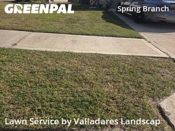 Yard Cuttingin Houston,77043,Yard Cutting by Valladares Landscap, work completed in Nov , 2025