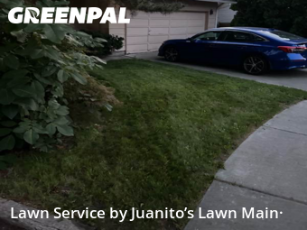 Lawn Mow nearby Richland, WA, 