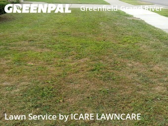 Lawn Cut nearby Detroit, MI, 