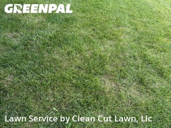 Grass Cut nearby Lee's Summit, MO, 