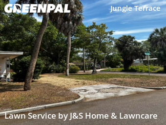 Yard Cutting nearby St. Petersburg, FL, 