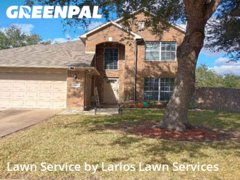 Lawn Cutin Pearland,77584,Lawn Mowing Service by Larios Lawn Services, work completed in Jan , 2026