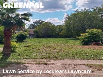 Grass Cut nearby Corpus Christi, TX, 