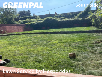 Lawn Cut nearby Pittsburgh, PA, 