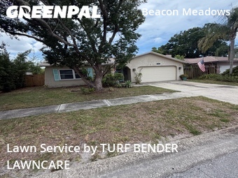 Grass Cut nearby Tampa, FL, 