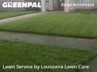 Lawn Care nearby New Orleans, LA, 