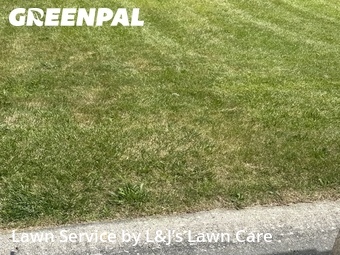 Grass Cut nearby Franklin, WI, 