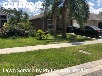 Lawn Mow nearby Orlando, FL, 