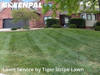 Lawn Mow nearby Papillion, NE, 