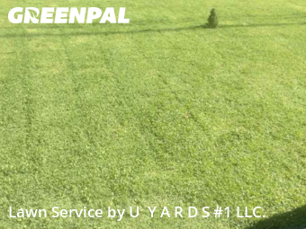 Yard Mowing nearby Riverbank, CA, 