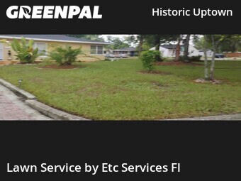 Grass Cut nearby Tampa, FL, 