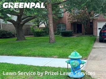 Local Lawn And Landscape Maintenance Services Near Me In Pearland,77584,Landscaping Services by Prizel Lawn Services, work completed in Jun , 2026