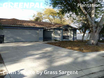 Lawn Servicein Tampa,33624,Yard Mowing by Grass Sargent, work completed in Feb , 2026
