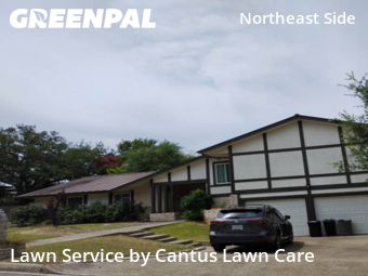 Yard Cutting nearby San Antonio, TX, 