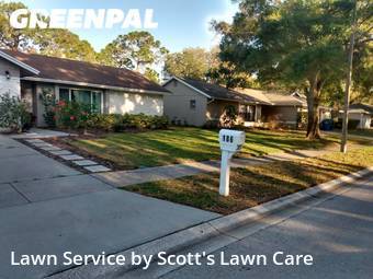 Grass Cut nearby Palm Harbor, FL, 
