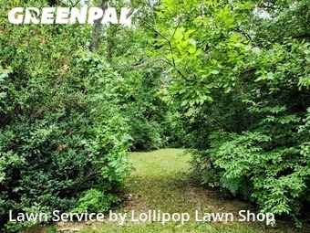 Yard Cutting nearby Lima, OH, 