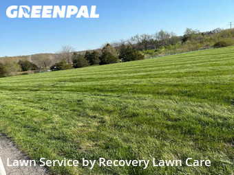 Yard Mowing nearby Villa Ridge, MO, 