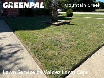 Grass Cutting nearby Cedar Hill, TX, 