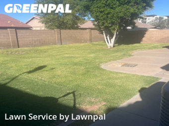Modern Landscaping In Mesa,85209,Landscaping by Lawnpal, work completed in Nov , 2025