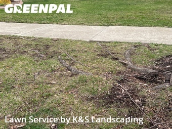 Lawn Service nearby Gardner, IL, 