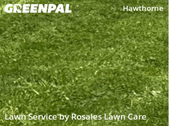 Lawn Cutting nearby Indianapolis, IN, 