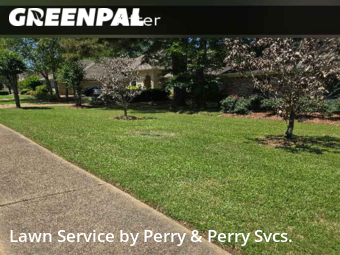 Lawn Cut nearby Madison, MS, 